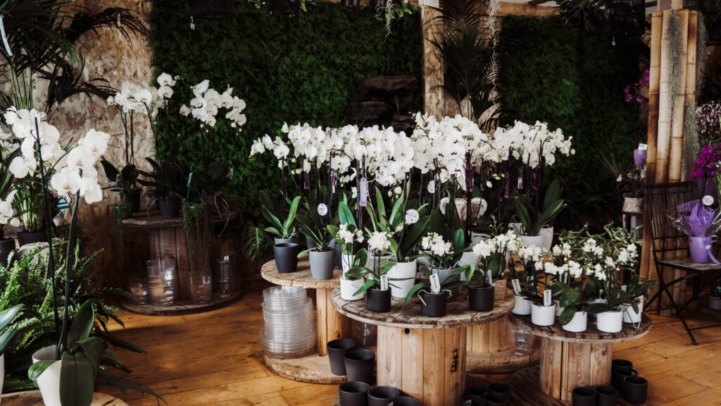 ¡Concurso San Valentín!