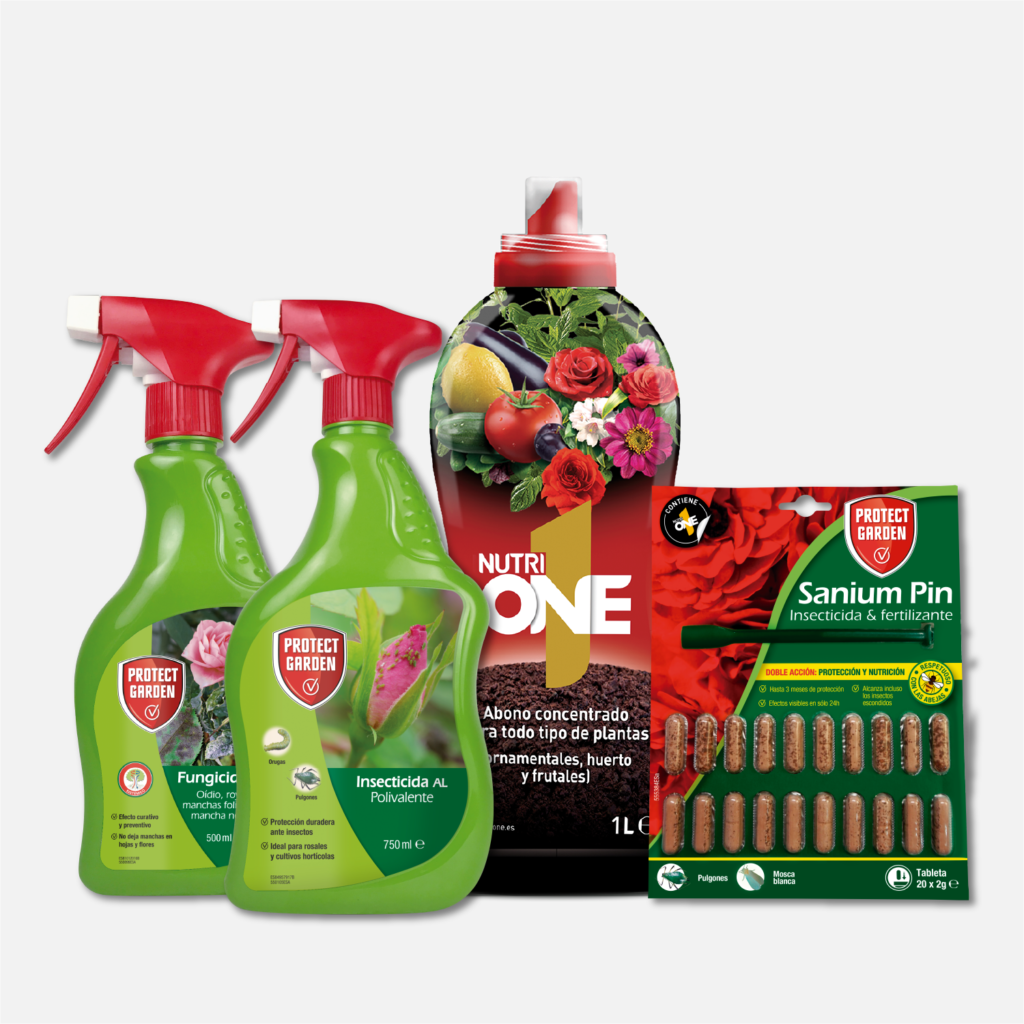 Concurso Día del Padre