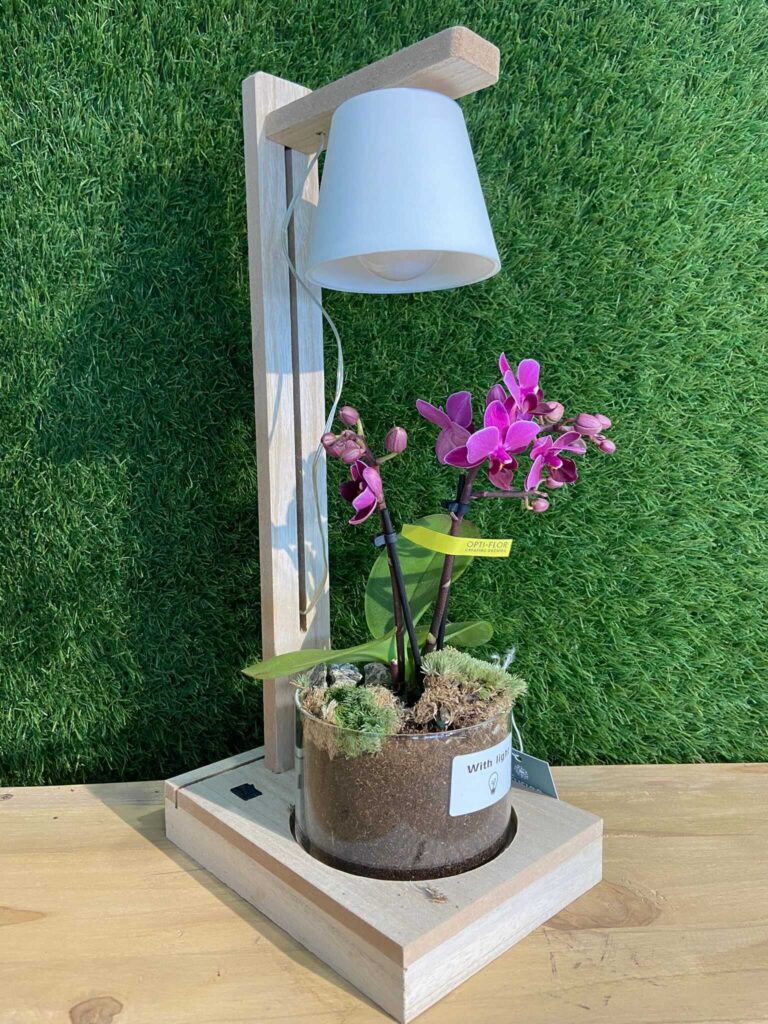 Concurso Día de la Madre