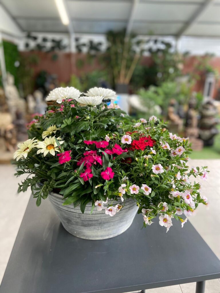 Concurso Mes de las Flores