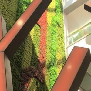 38711314_1840624412657652_6198735554524217344_o-r64ft8iwqqaircwh95uotjyv2byqoz7yxpdtnkh6gc