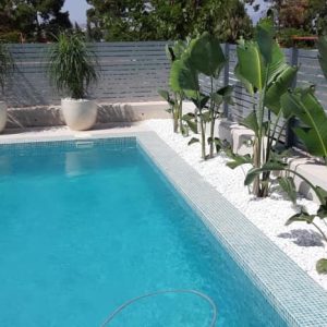 66012593_2350746628312092_303997536102776832_n