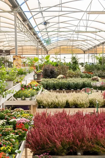 centro de jardinería y paisajismo